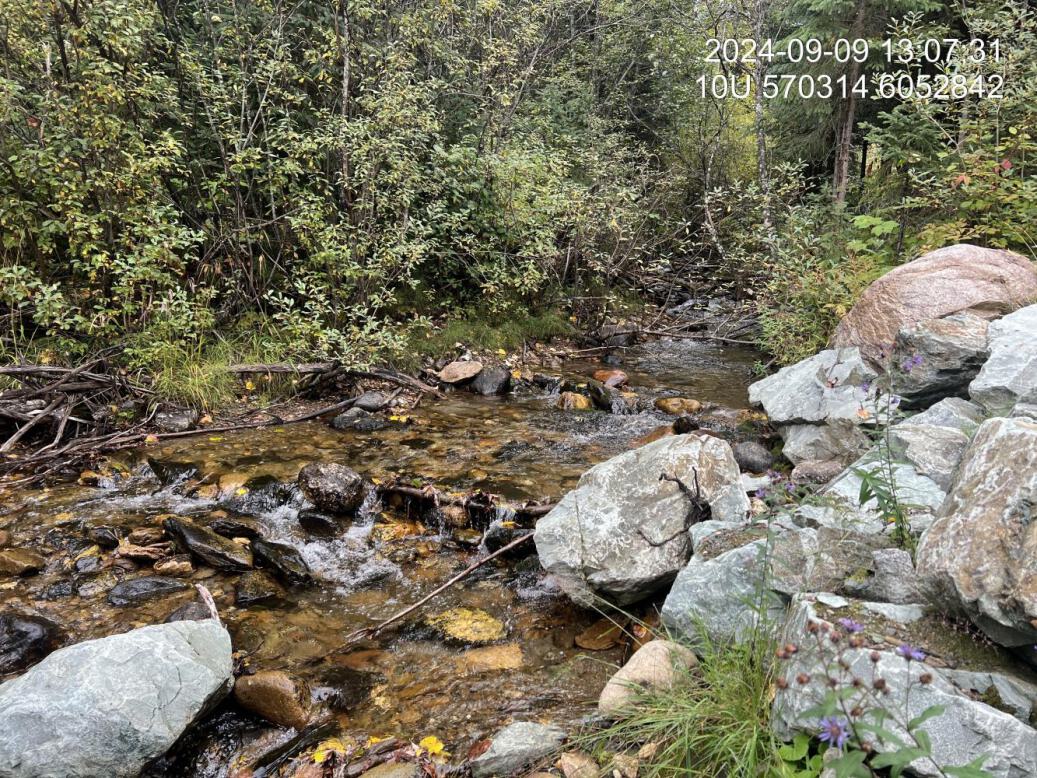 Typical habitat electrofished upstream of PSCIS crossing 125179.