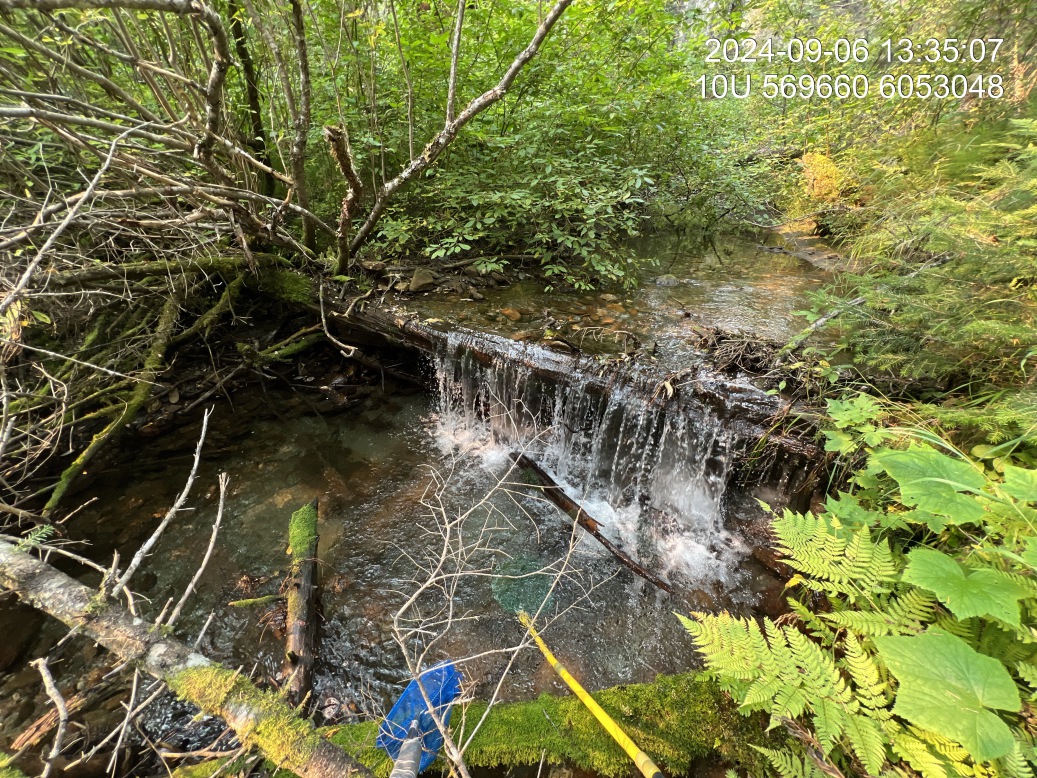 Typical habitat electrofished upstream of PSCIS crossing 125180.