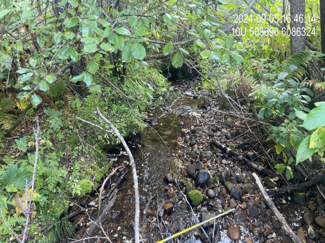 Typical habitat upstream of PSCIS crossing 198669.