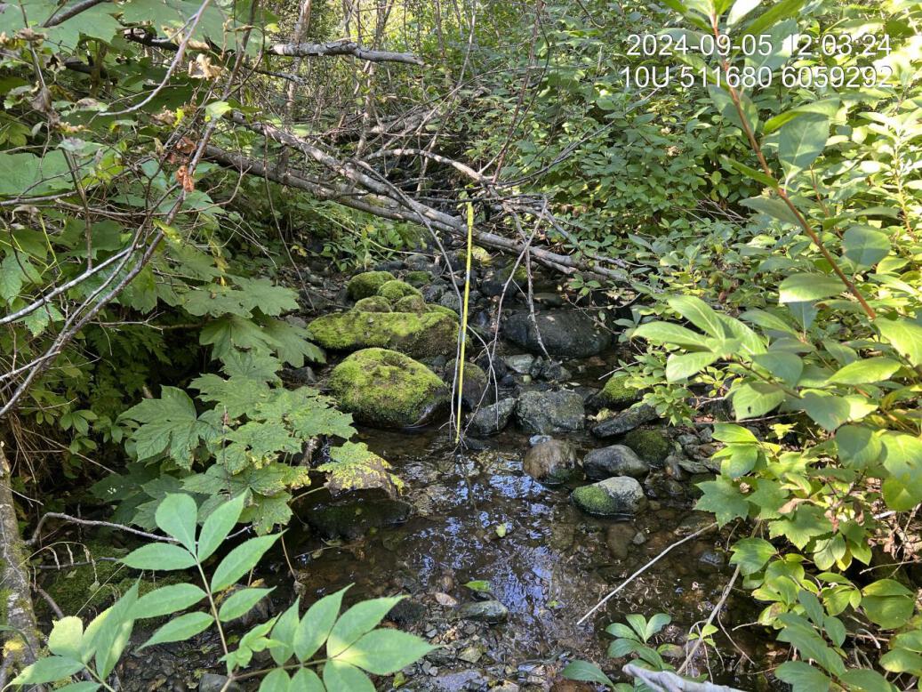Typical habitat upstream of PSCIS crossing 198692.