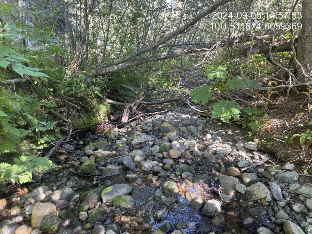 Typical habitat downstream of PSCIS crossing 198692.