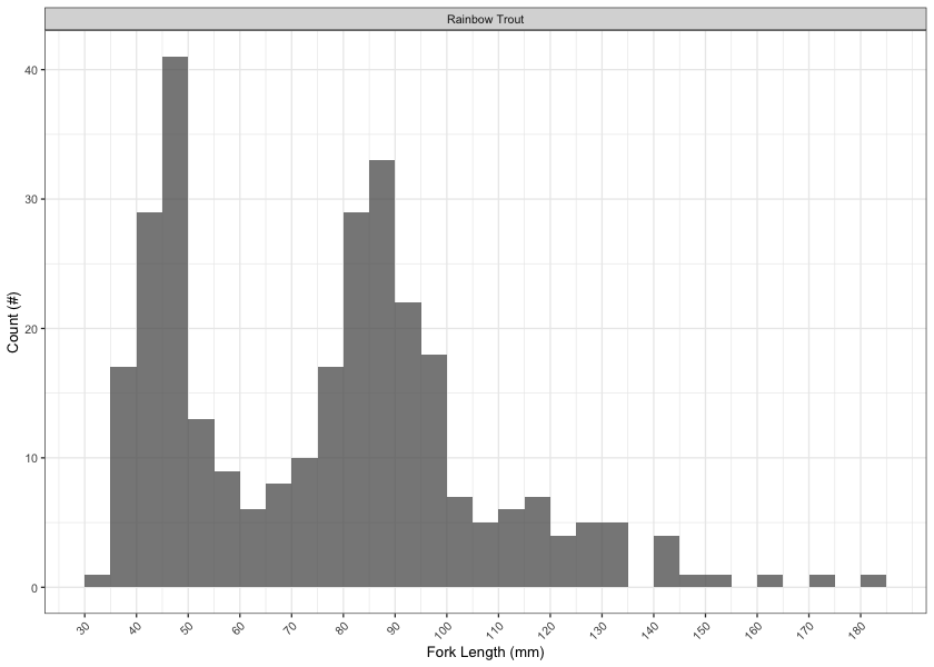Histogram of rainbow trout fork lengths captured by electrofishing (n = 301).