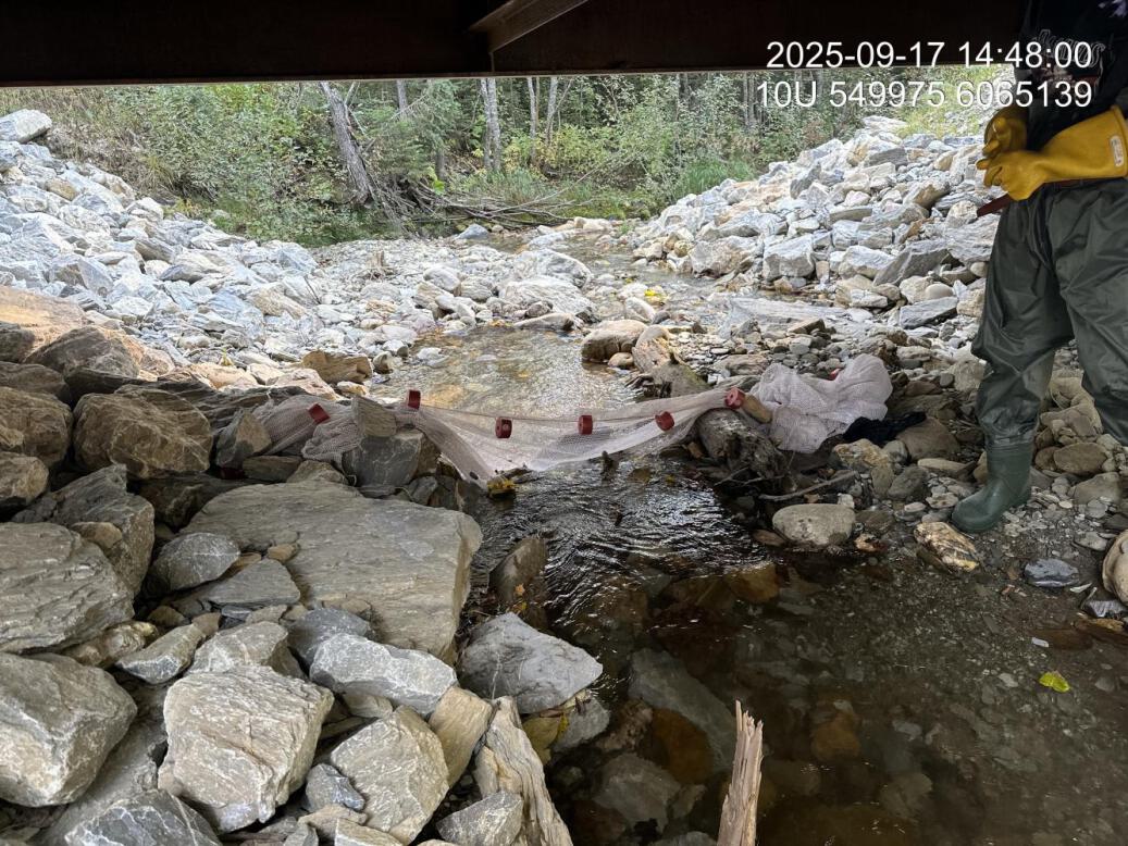 Stop net installed for upstream electrofishing site 1.