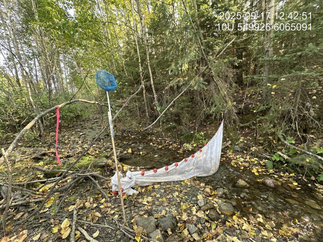 Stop net installed at downstream electrofishing site 1.