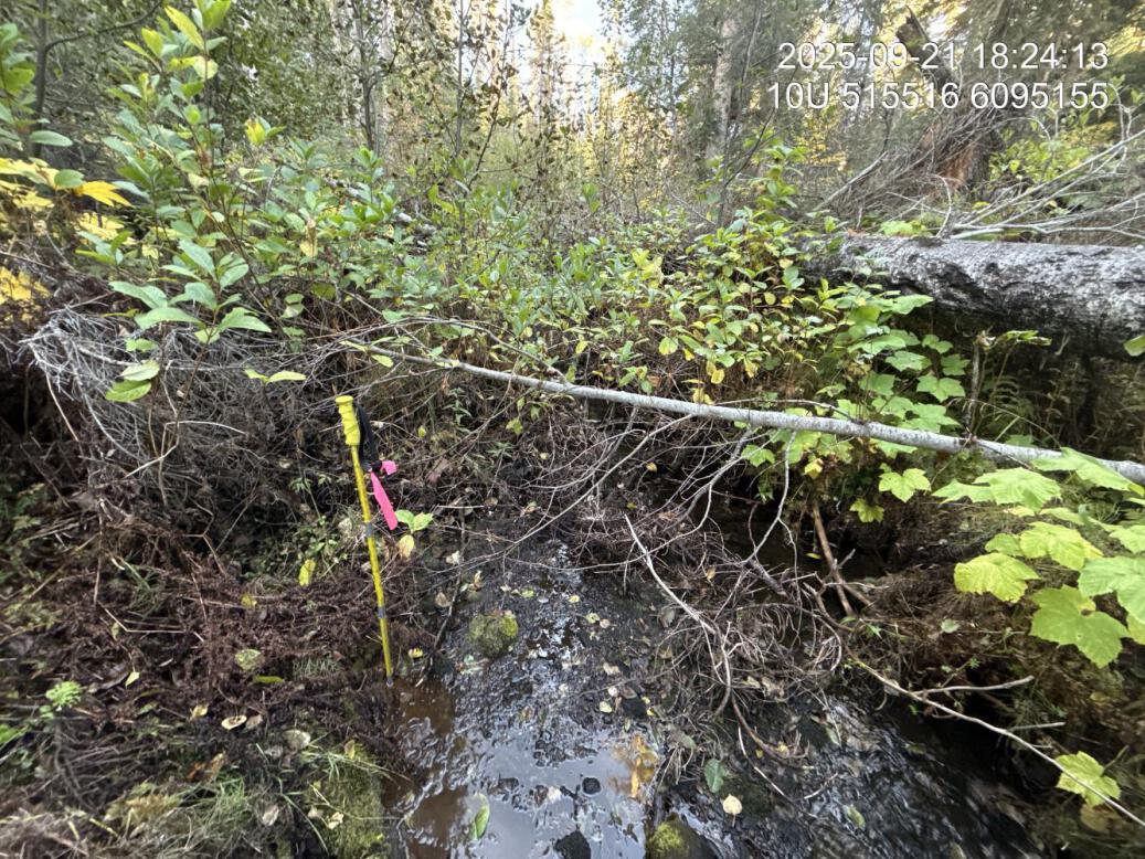 Typical habitat upstream of PSCIS crossing 199663.
