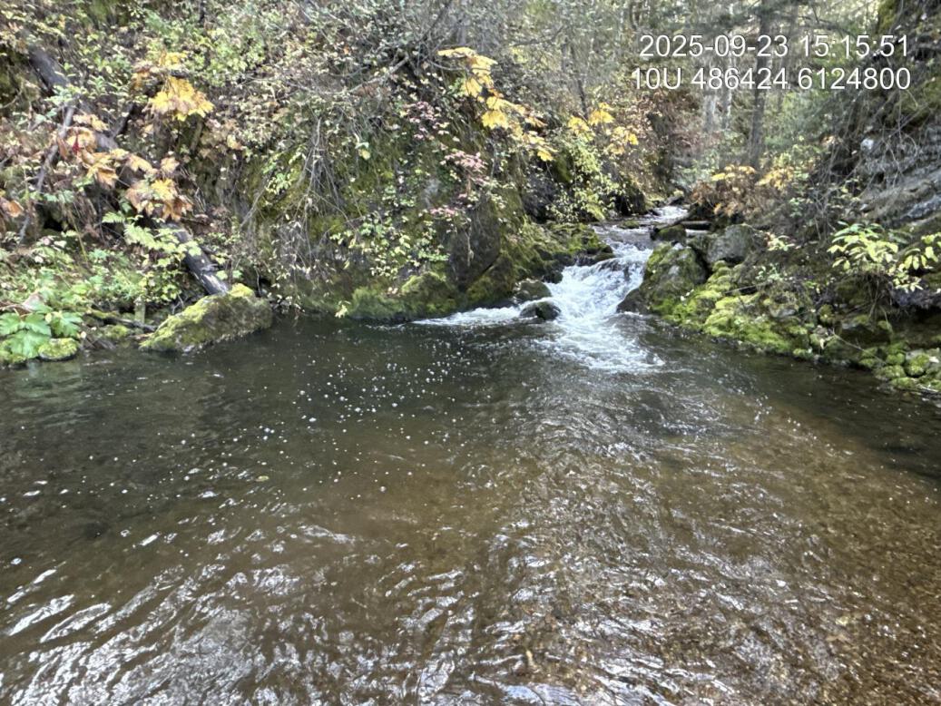 Beginning of the canyon with multiple cascade steps and deep downstream pools, located above of the Modeste FSR bridge, upstream of crossing 203605.
