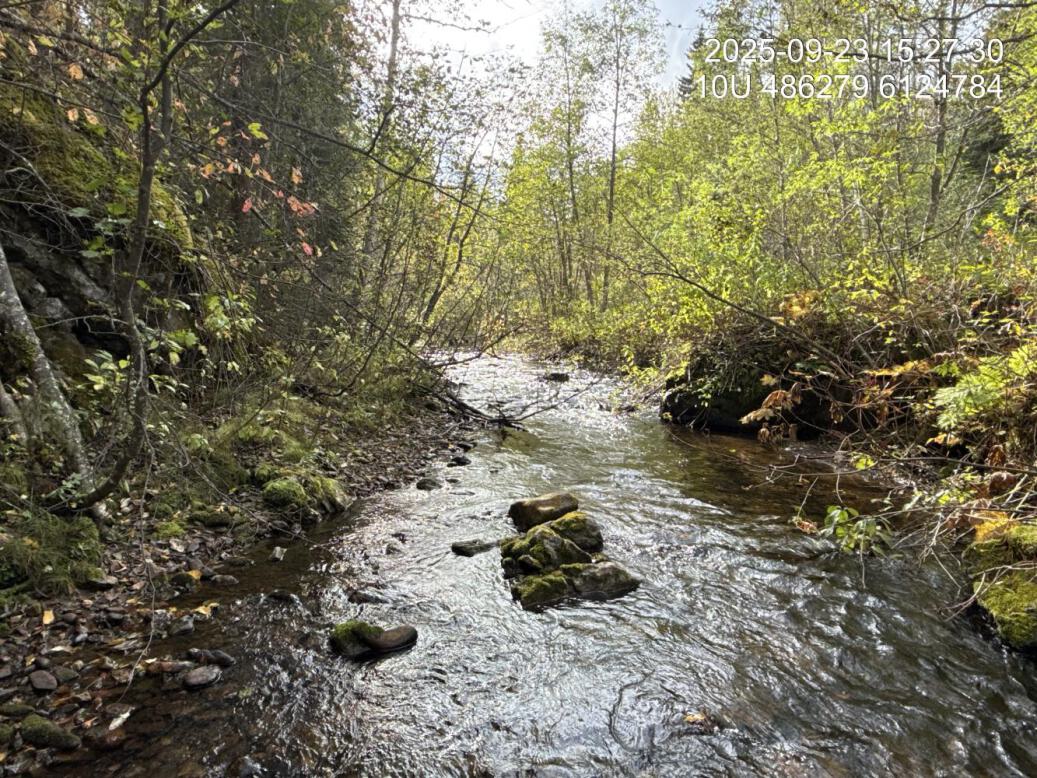 Typical habitat upstream of PSCIS crossing 203605.