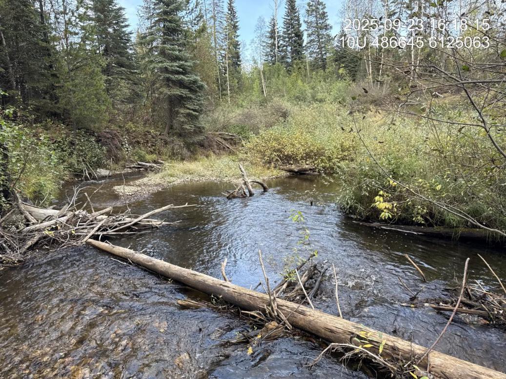 Typical habitat downstream of PSCIS crossing 203605.