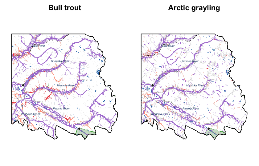 South-east corner of the Parsnip River Watershed Group at full resolution: bull trout (left) and Arctic grayling (right), same extent and symbology. Grey background streams are the full modelled network, so the coloured overlay shows where each species' classification reaches.