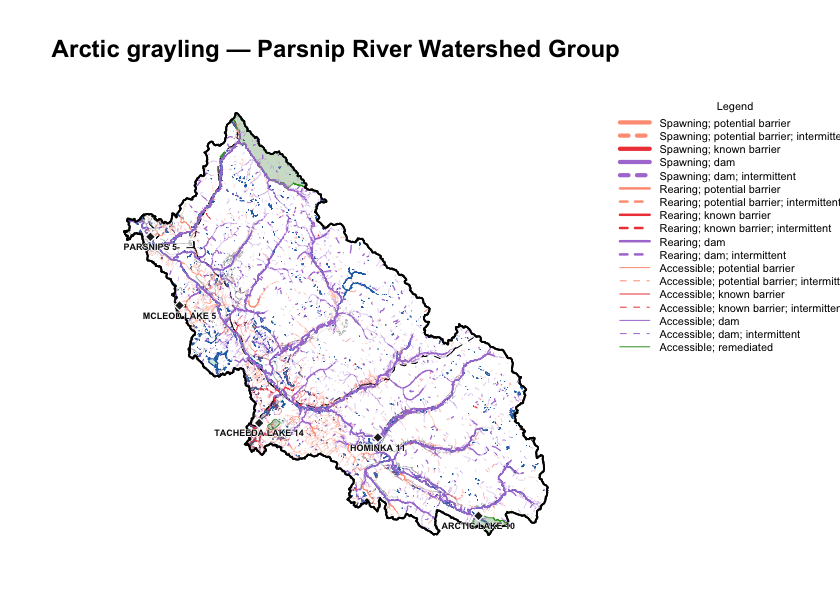 Arctic grayling habitat and connectivity classification across the Parsnip River Watershed Group — a species bcfishpass does not yet model. Same symbology as the bull-trout map, so the two are directly comparable; grayling's modelled network is the smaller of the two.