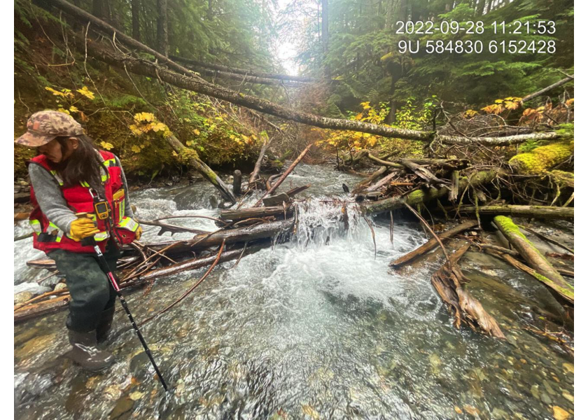 Typical habitat downstream of PSCIS crossing 198225.