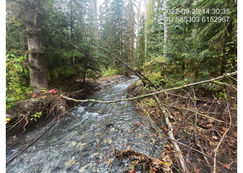 Typical habitat downstream of PSCIS crossing 198225.