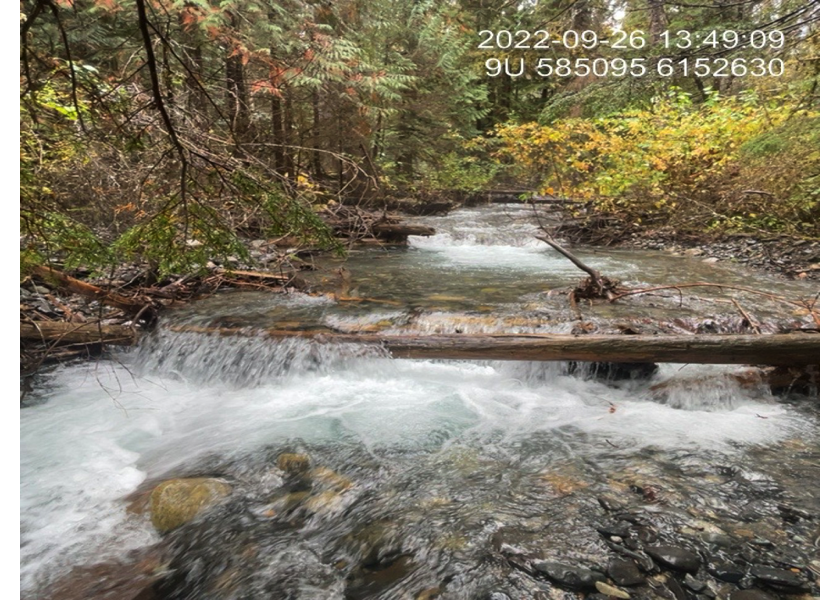 Typical habitat upstream of PSCIS crossing 198225.