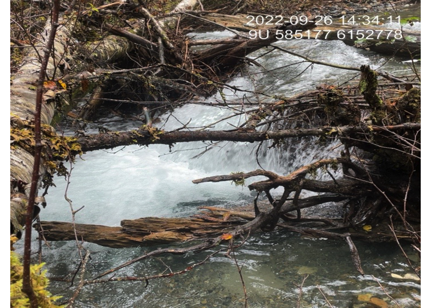 Typical habitat upstream of PSCIS crossing 198225.