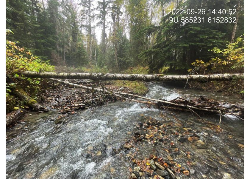 Typical habitat upstream of PSCIS crossing 198225.