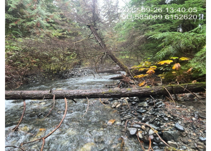 Typical habitat upstream of PSCIS crossing 198225.
