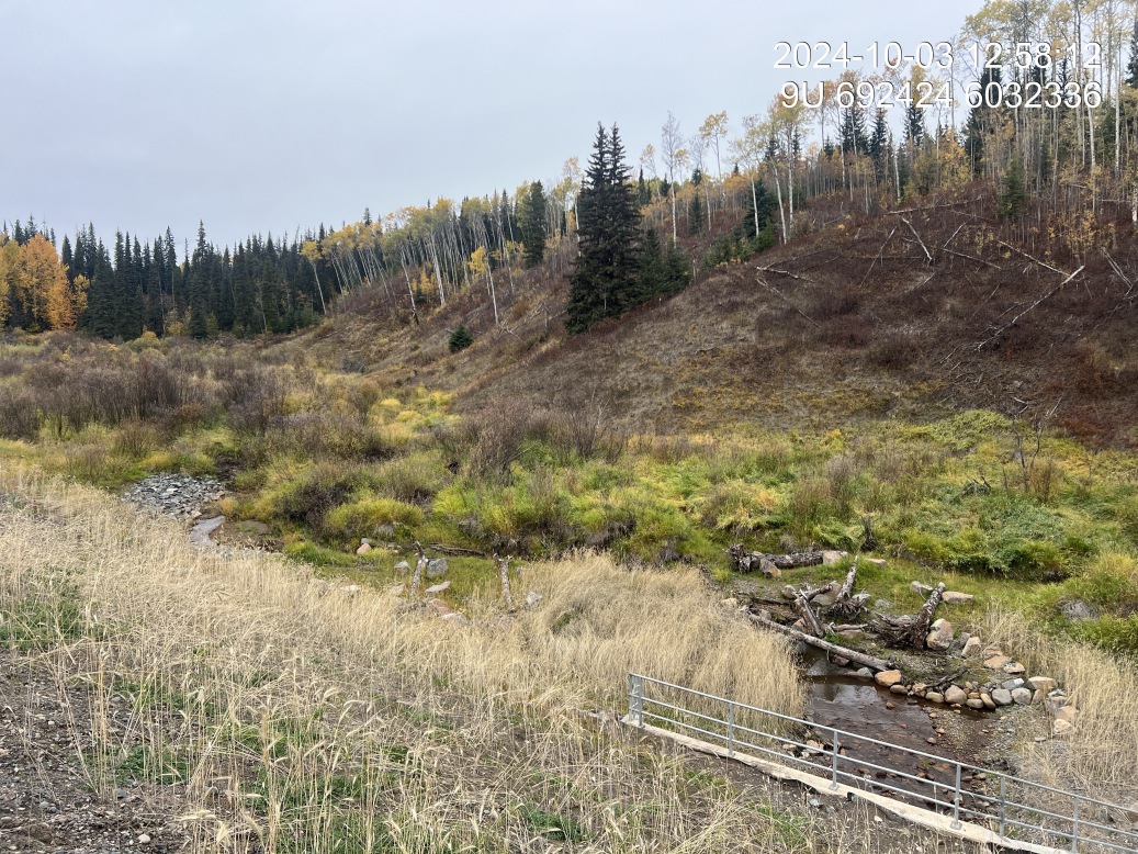 Woody debris and boulder structures located upstream of 197967 in 2024.