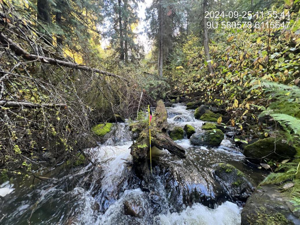 Typical habitat upstream of PSCIS crossing 198916.