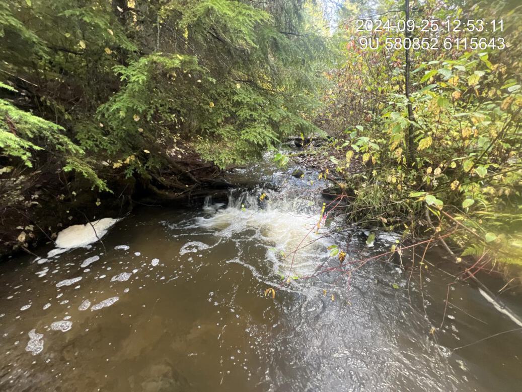 Typical habitat downstream of PSCIS crossing 198913.