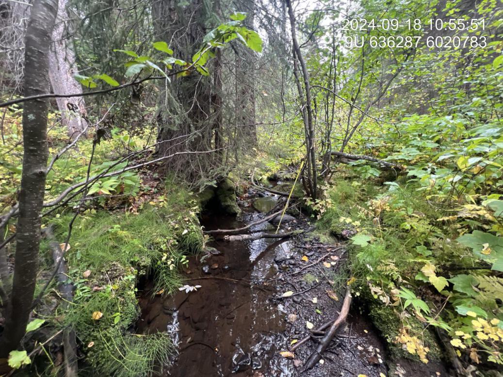 Typical habitat upstream of PSCIS crossing 198935.