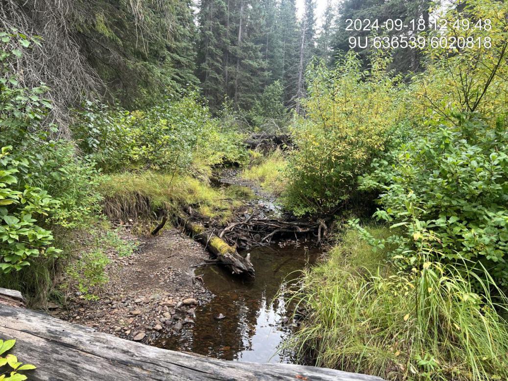 Typical habitat upstream of PSCIS crossing 198940.