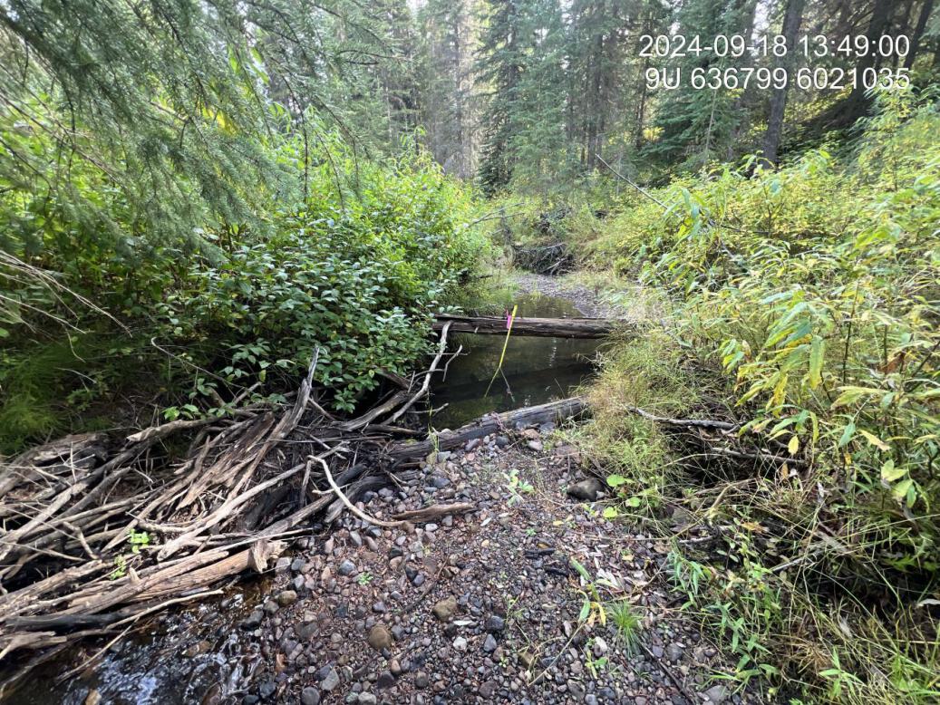 Typical habitat downstream of PSCIS crossing 198940.