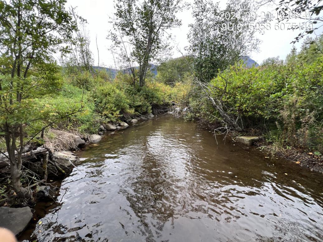 Typical habitat upstream of PSCIS crossing 58245 and downstream of PSCIS crossing 203122, with signs of bank armouring and channelization.