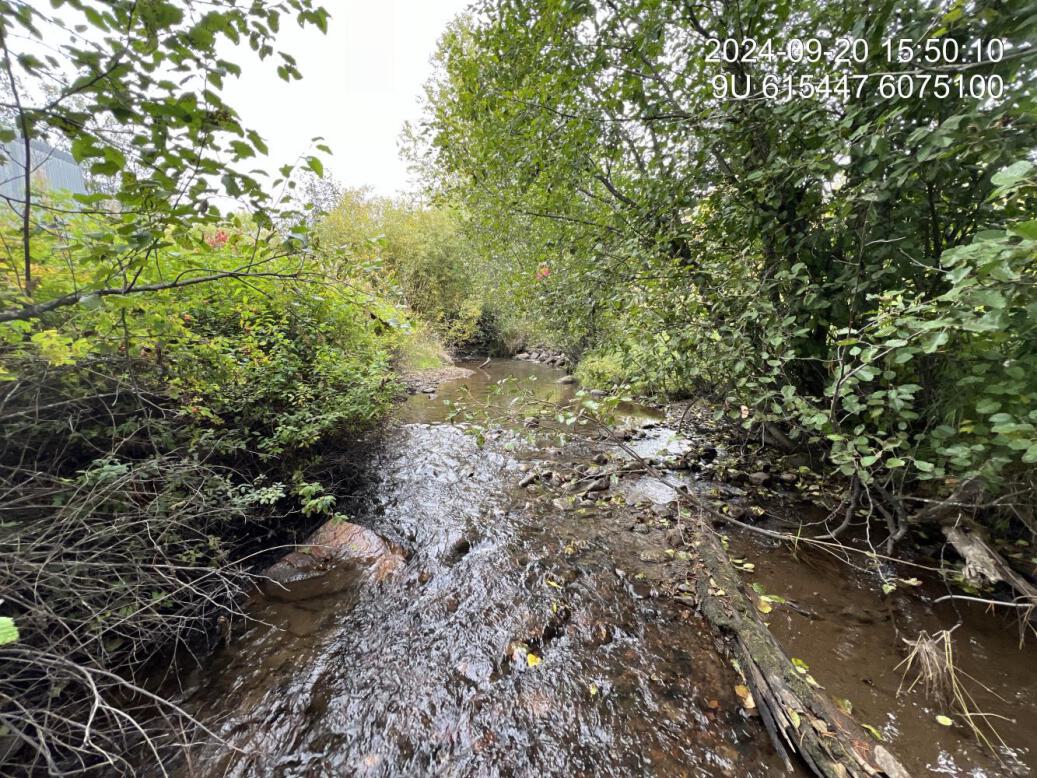 Typical habitat downstream of PSCIS crossing 58245.