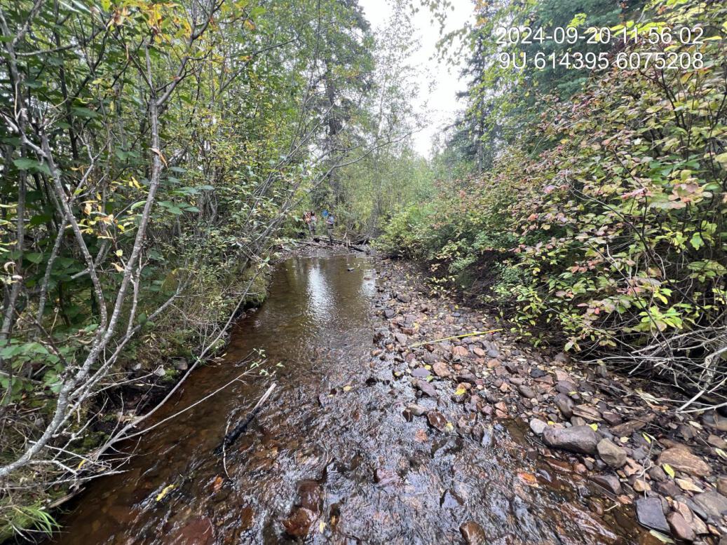 Steelhead spawning location upstream of PSCIS crossing 203122 and downstream of PSCIS crossing 58264, as reported by the adjacent landowner.