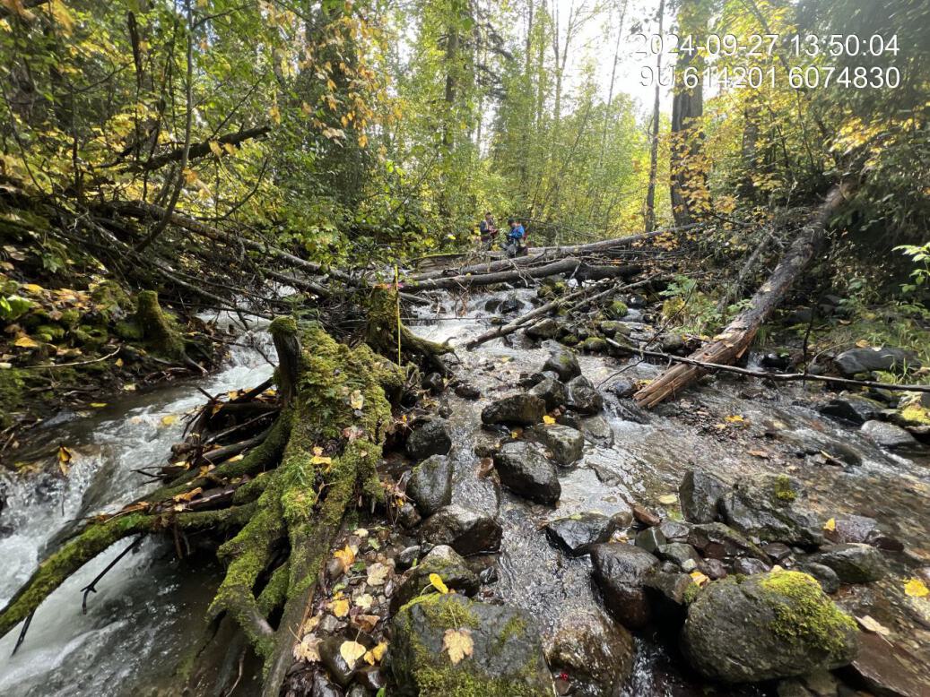 Typical habitat upstream of PSCIS crossing 58264.