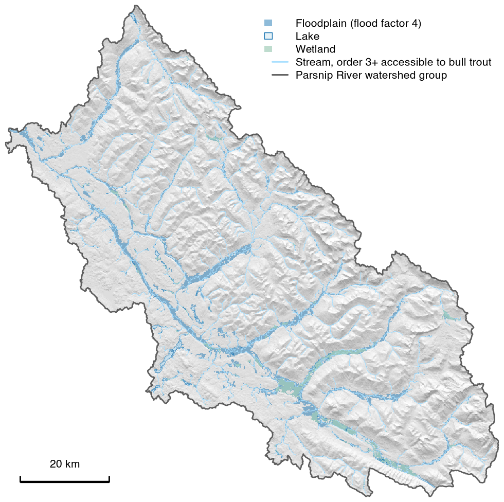 Map of the Parsnip River watershed group over a grey hillshade. A blue floodplain follows the Parsnip River and its larger tributaries along the valley floors, with lakes and wetlands in the south-east; the mountain slopes between them carry none.