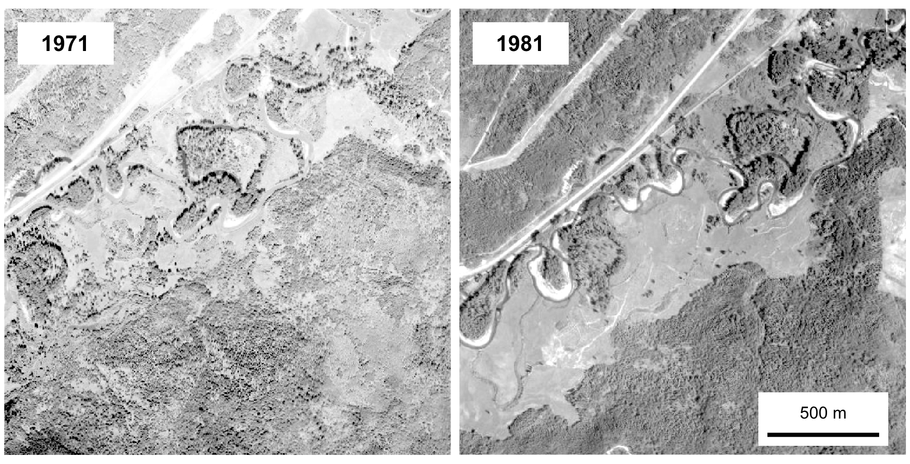 Two black-and-white airphotos side by side of the same 2 km square of the upper Bulkley River valley, labelled 1971 and 1981. A meandering river crosses each from left to right beside a highway, with forest and open meadow on the valley floor and forest on the slopes.