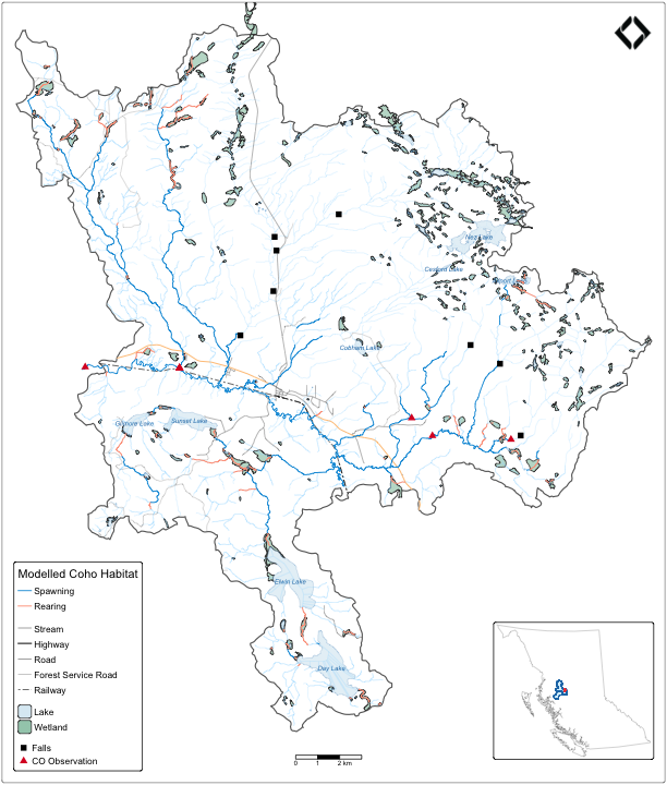 Byman-Ailport subbasin of the Neexdzii Kwa showing coho spawning (blue) and rearing (salmon) habitat from bcfishpass. Falls and coho observations from FISS. Highways (yellow), roads (dark grey), forest service roads (light grey), and railway (dashed) clipped to the subbasin. Inset shows the Bulkley and Morice watershed groups within British Columbia.