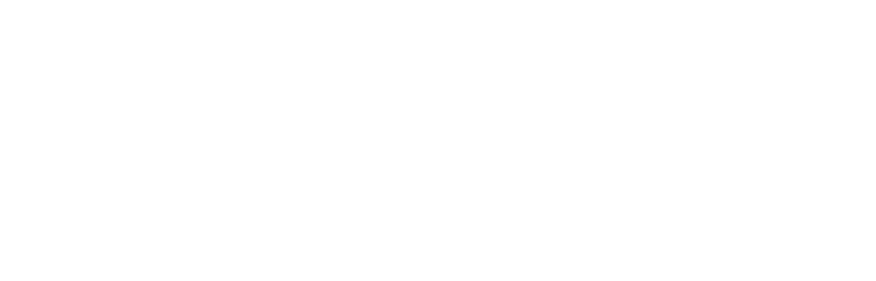 New Graph Environment