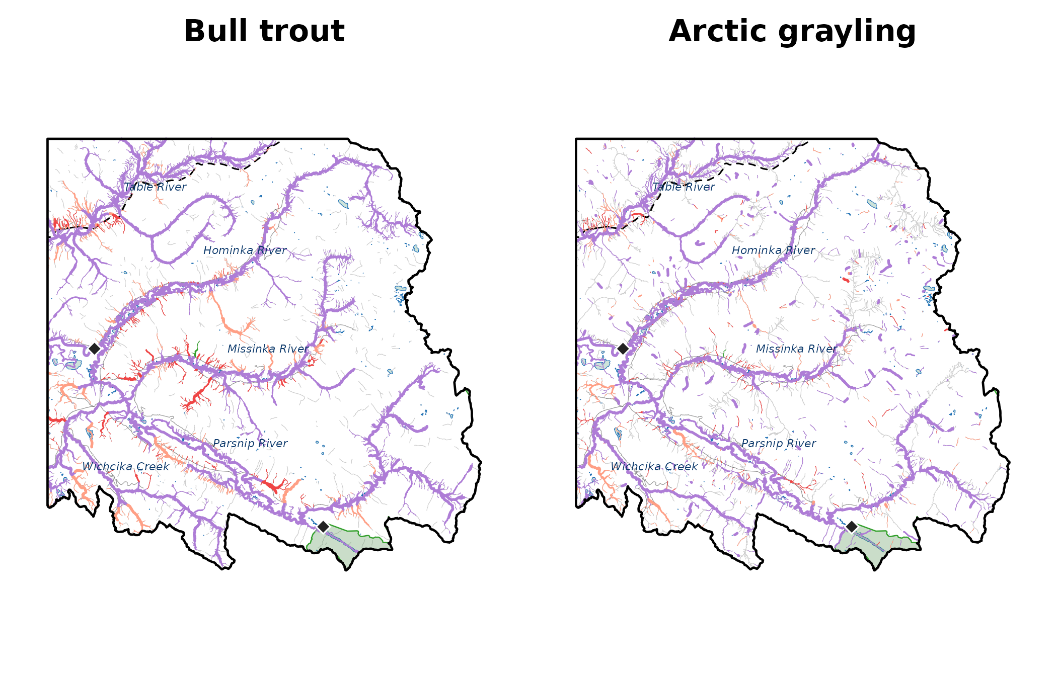 South-east corner of the Parsnip River Watershed Group at full resolution — the headwaters near the continental divide: bull trout (left, link bcfishpass config) and Arctic grayling (right, link default config), same extent, same symbology. Grey background streams are the full modelled network, so the coloured overlay shows where each species' classification reaches. Context: waterbodies (light blue), parks (green), reserves (grey + diamond), roads (grey), railways (black dashed), named streams (italic blue labels).