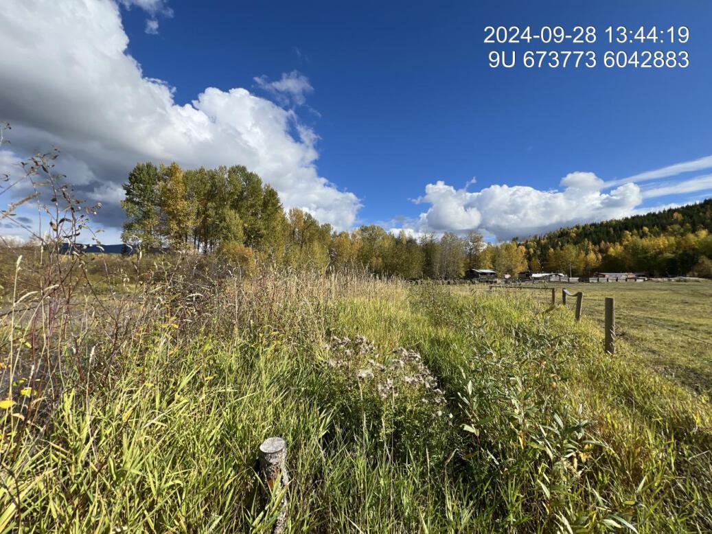View of upstream end of site