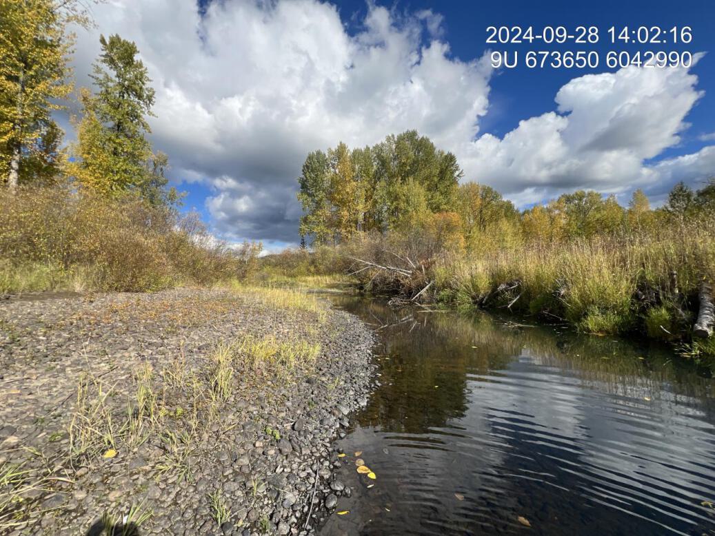 View of upstream end of site
