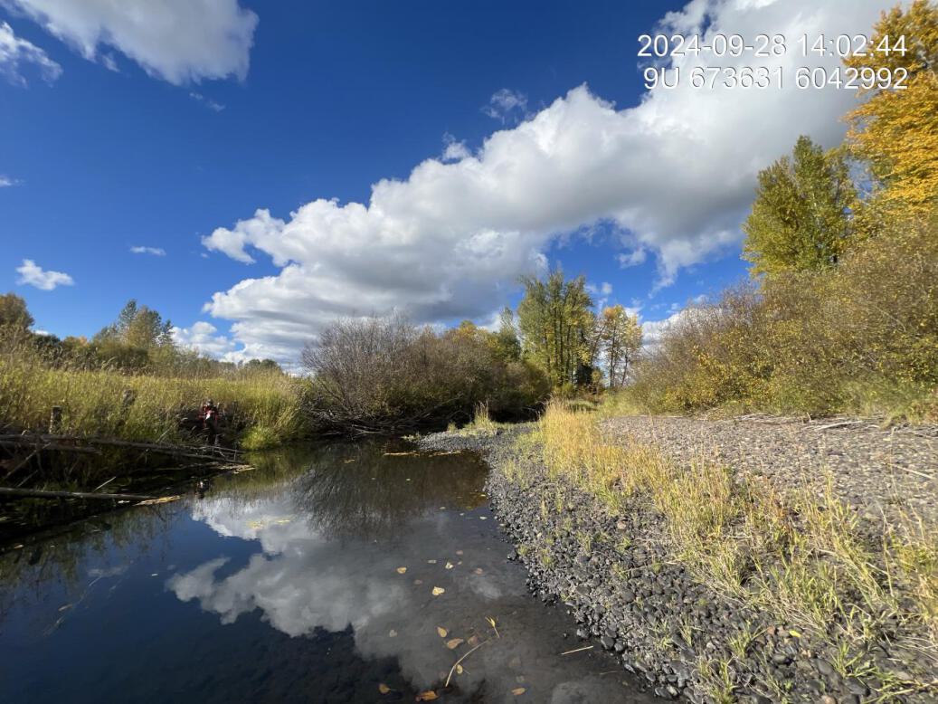 View of downstream end of site