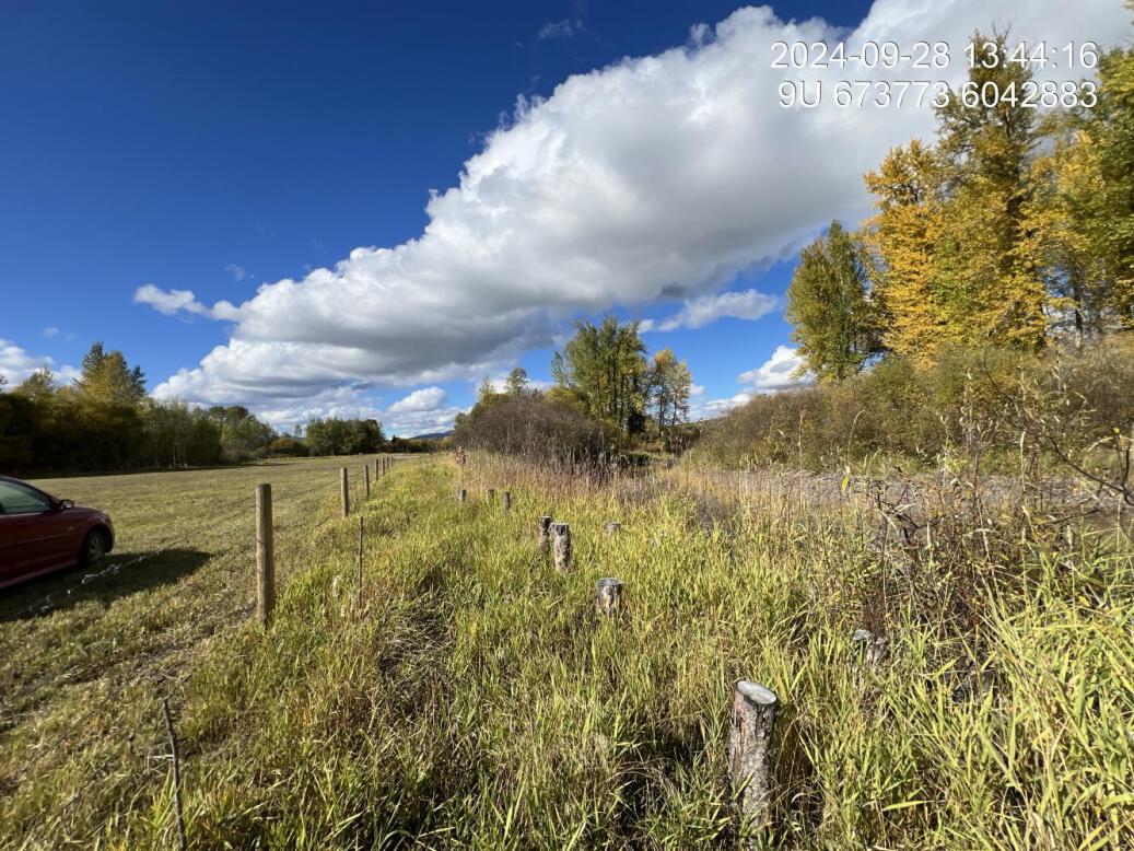 View of downstream end of site