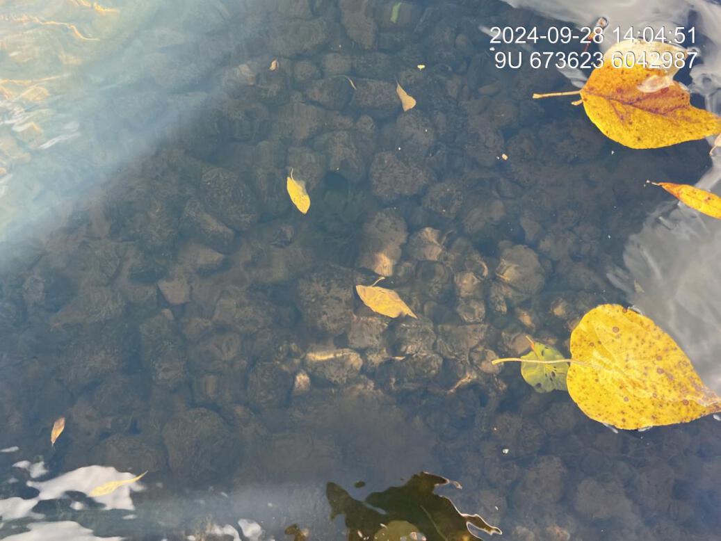 Substrate composition