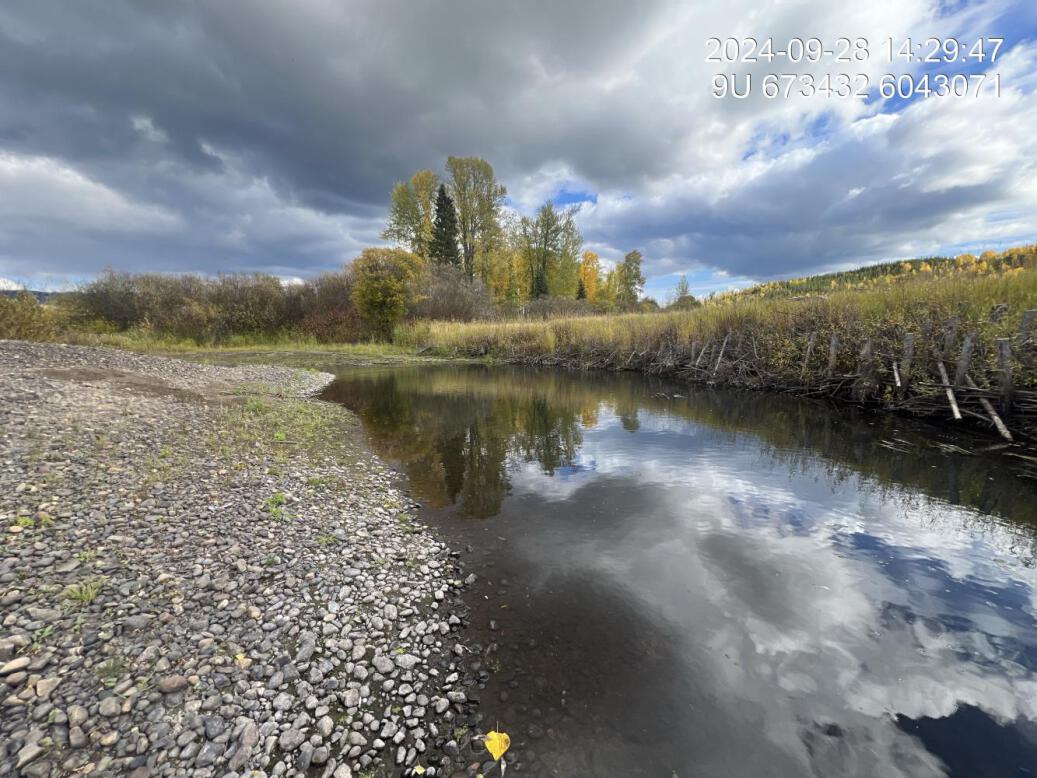 View of upstream end of site