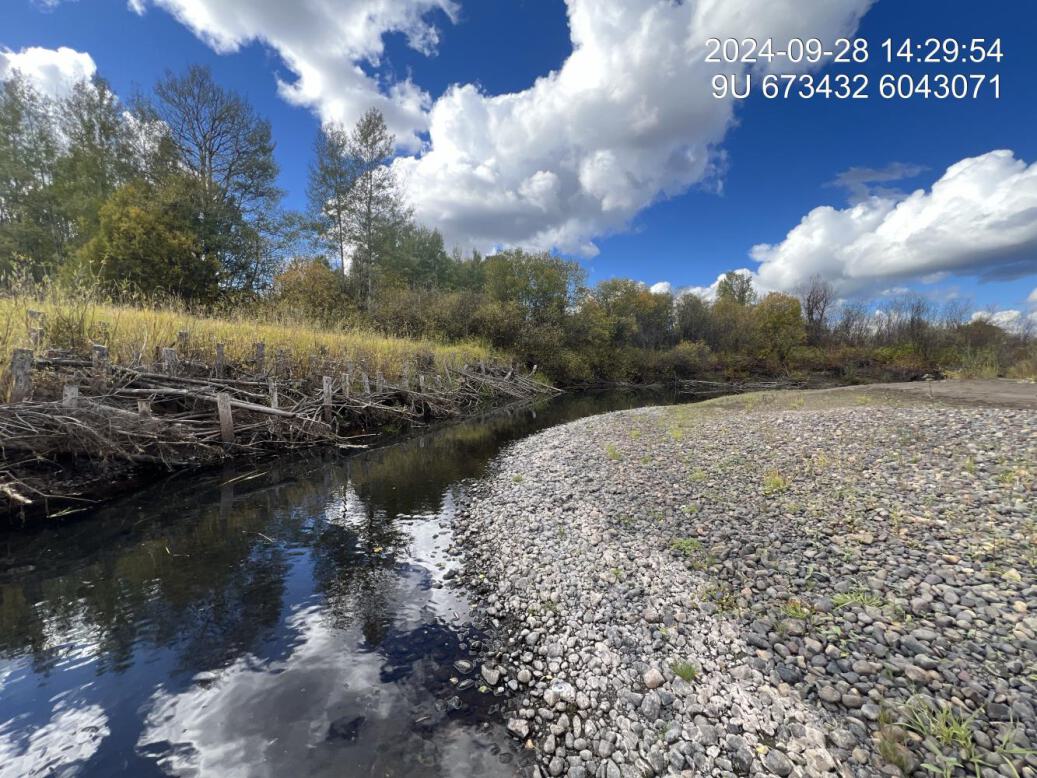 View of downstream end of site