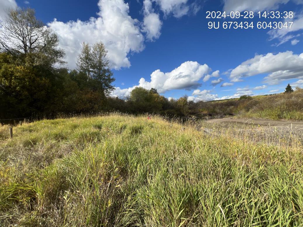 View of downstream end of site