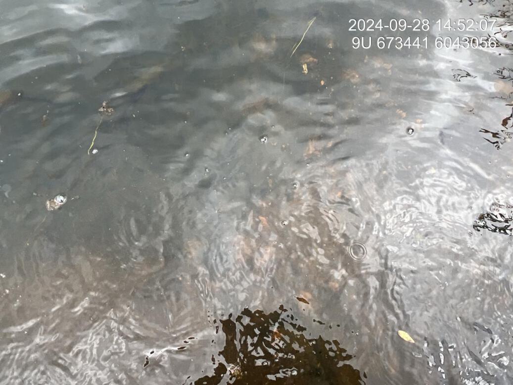 Substrate composition