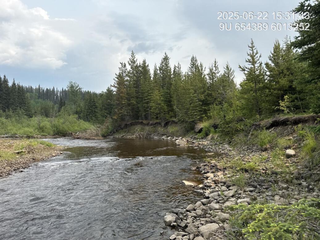 View of upstream end of site