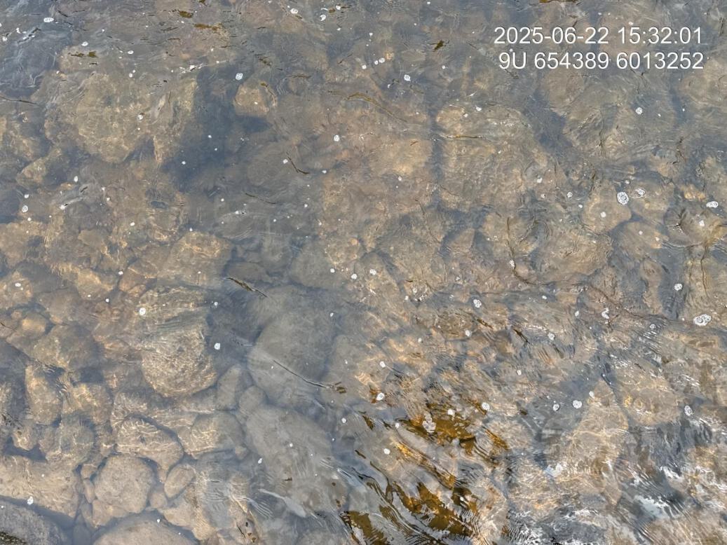 Substrate composition