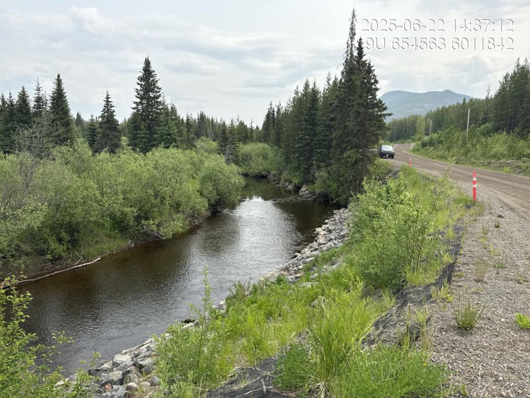 View of upstream end of site