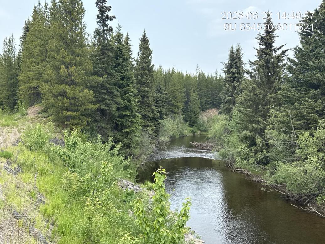 View of downstream end of site