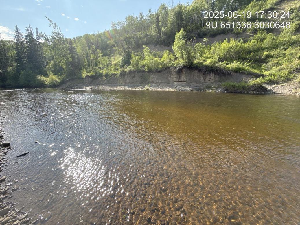 View of downstream end of site