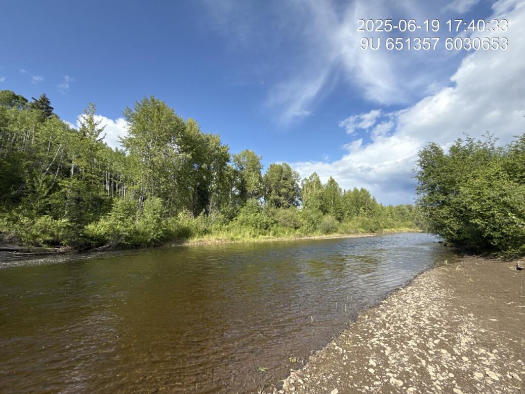 Riparian regrowth within site